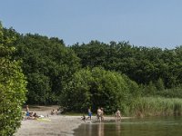 NL, Noord-Brabant, Heusden, Put van Drunen 1, Saxifraga-Marijke Verhagen